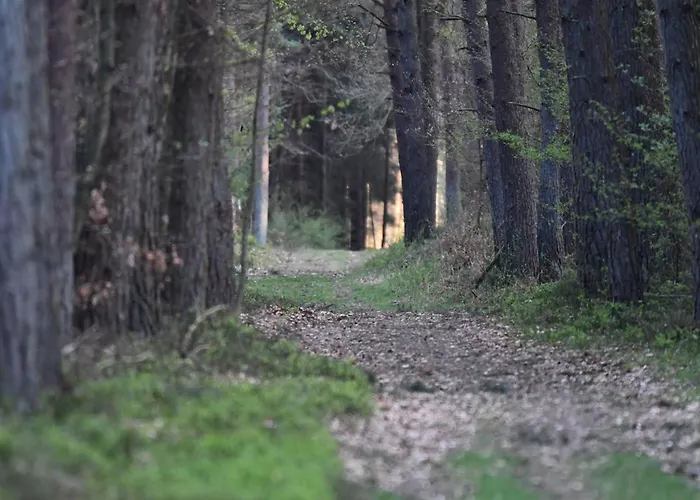 Prázdninový dům Auerhahn Ferienhaeuser Auerhahn 601